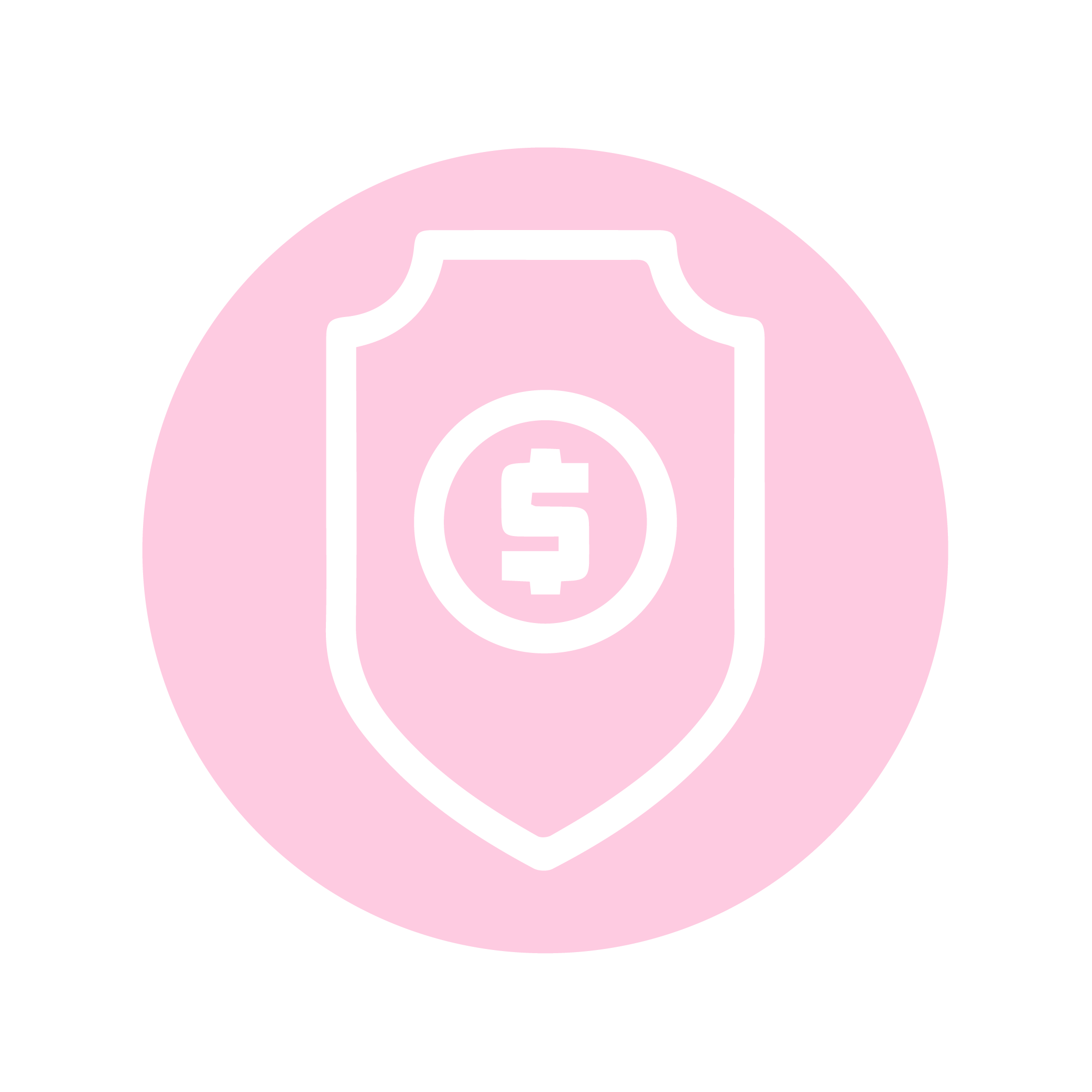 " پرداخت امن "